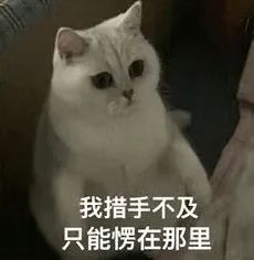 DƬ